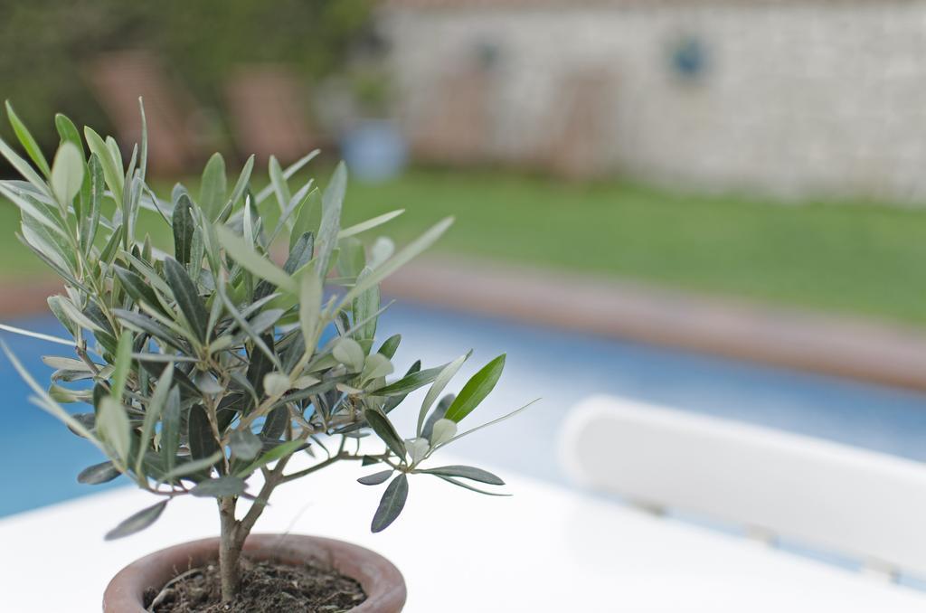Alacati Roka Hotel Eksteriør bilde